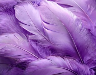 Obraz premium soft and delicate purple feathers create a soothing and dreamy background texture for design projects