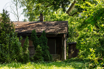 Old wooden cabin hidden in overgrown forest vegetation. Rustic abandoned house forgotten home in...