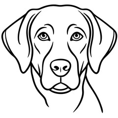 Chesapeake Bay Retriever Silhouette Vector
