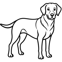 Chesapeake Bay Retriever Silhouette Vector