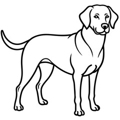 Chesapeake Bay Retriever Silhouette Vector