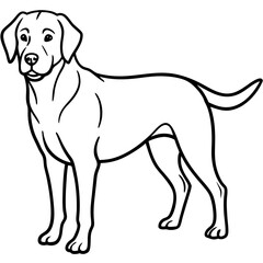 Chesapeake Bay Retriever Silhouette Vector