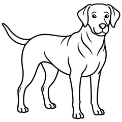 Chesapeake Bay Retriever Silhouette Vector