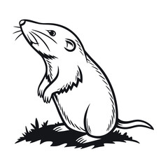 Obraz premium Intriguing Line Art Illustration of a Curious Pocket Gopher, Standing Erect on Hind Legs, Displaying Unique Anatomical Features and Whiskers