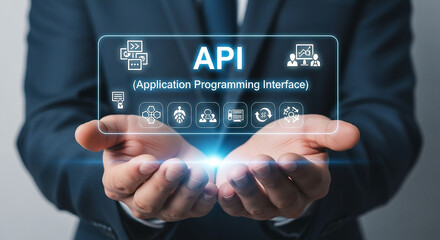 Understanding application programming interface api integration for developers and businesses