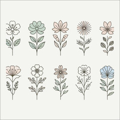 set of vector floral elements