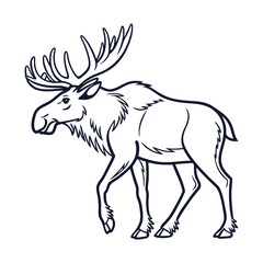 Majestic Moose Illustration A Detailed Line Drawing of a North American Moose in Profile View