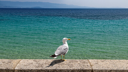 Ajaccio coastline and beach and sanguinaires archipel in Corsica mediterranean sea