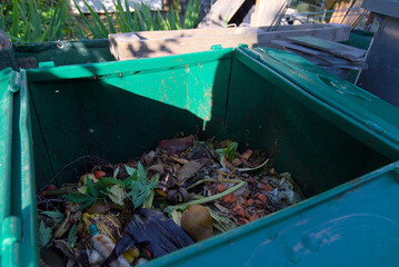 Embrace eco-friendly living with this vibrant image of a compost bin brimming with organic waste. It highlights sustainable practices and the natural cycle of decomposition.