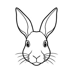 vector illustration of a rabbit