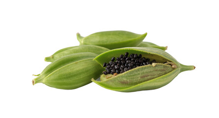 Green Seed Pods with Black Seeds on White Background