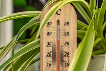 Measuring the temperature in the shade in the garden in summer,
