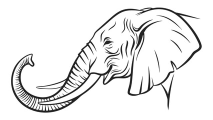 Obraz premium Elegant Line Art Illustration of an Elephants Head 1.