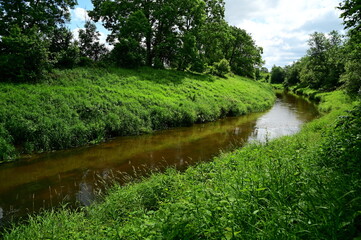 river in the woods