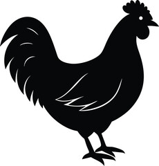 A Striking Black Silhouette of a Rooster Standing Proudly with Detailed Feathers. Rooster Silhouette,  Striking Black Cockerel Standing Proud with Detailed Feather Vector Art.