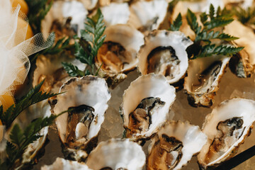Fresh Oysters on Ice with Garnish