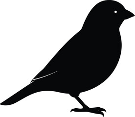 A Silhouette of a Small Bird Standing Perched on its Feet with its Head Looking to the Right. Small Bird Silhouette,  Perched Bird Facing Right Vector Art.