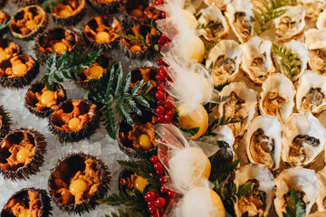 Seafood Platter with Sea Urchins and Oysters