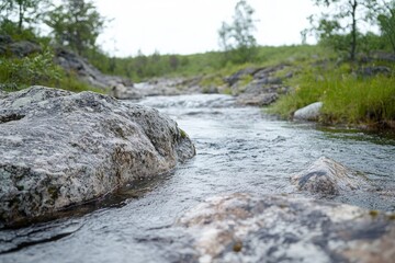 A shallow river flows through a rocky, grassy landscape under an overcast sky in a natural setting.