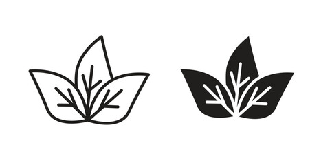 Basil icon pack. Flat Vector Icon Design Element.