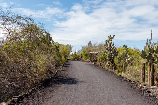 Beautiful landscape of Galapagos pathway to los tunos