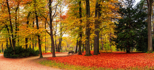 Autumn landscape, banner - view of a autumn park with paths and fallen leaves in the early morning, the Englischer Garten is a public park in Munich, Bavaria, Germany