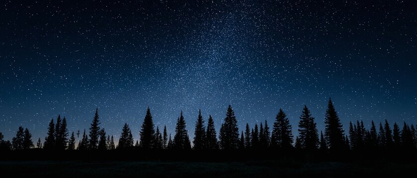 Silhouette of trees against a dark blue night sky with stars.
