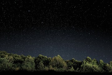 Naklejka premium Night sky with stars above trees dark landscape.
