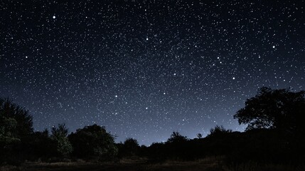 Fototapeta premium Night sky with stars visible above trees in a dark landscape.