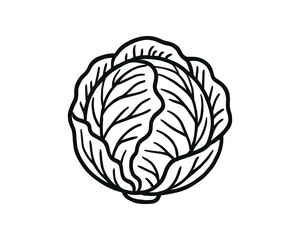 Obraz premium Cabbage Head Outline: A Simple and Clean Vector Illustration of a Leafy Green Vegetable
