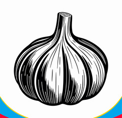 Black and White Garlic Illustration, Vintage Style