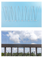 Stainless bird spikes with multiple angled rods for ledge and rooftop defense. Designed for pest...