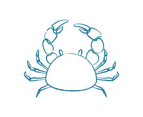 Crab silhouette in chalk style. Marine creature in underwater ocean. Doodle visual style, potential for use aquariums or educational materials.