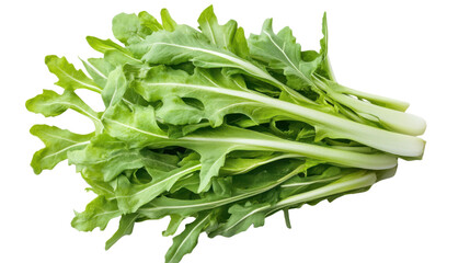 green lettuce on white background