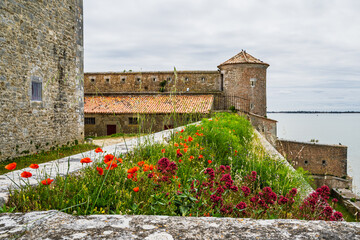 Fouras Castle, Fouras-les-Bains, Charente-Maritime, Nouvelle-Aquitaine, France, Europe