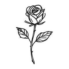 PNG Elegant rose line art