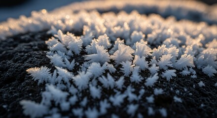Stunning CloseUp of Ice Crystals on a Surface