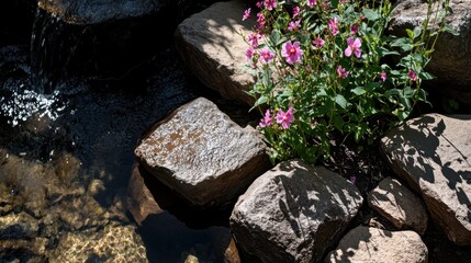 Rocks and Pink Flowers by Calm Water in Natural Setting