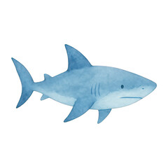 Fototapeta premium PNG Watercolor shark illustration art.