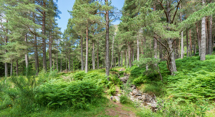 Scotland highlands mountain landscape