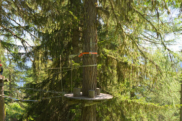 Experience thrilling treetop adventures! This image showcases a climbing park platform nestled high...