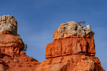Fototapeta premium pebbly conglomerate. Claron Formation, (Tcp) Pink member; mudstone, sistone, sandstone; weathers into picturesque cliffs, columns, spires, and pinnacles. entrance to Red Canyon, Panguitch, Utah