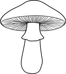 Minimalist boletus mushroom outline drawing for wild food projects