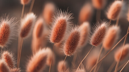 Obraz premium A bunch of dried up flowers with brown stems