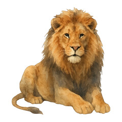 Obraz premium PNG Majestic watercolor lion illustration.
