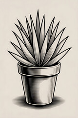 A stylized agave plant in a pot, in black and white.
