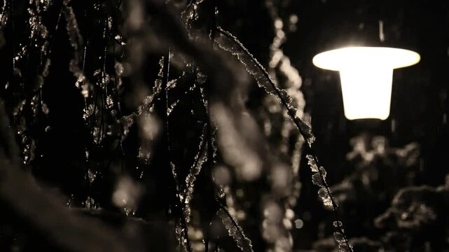 branches in the light of a lantern and falling snow in the darkness.Flying snow in the light of a lantern. Texture of snow and branches of yew in snow in the rays of lantern light. 4k footage