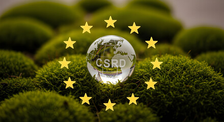 CSRD EU Globe Sustainability Concept