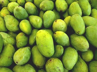 Fresh mangoes sold in the market. Mangoes contain many nutrients that are good for the body.