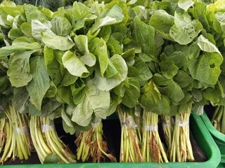 Fresh spinach sold in the market. Spinach contains many nutrients that are good for the body.